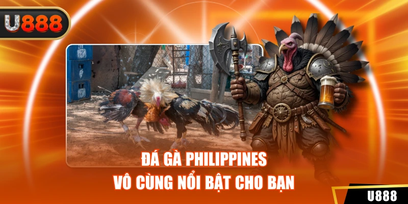 Đá Gà 2 Đá gà philippines vô cùng nổi bật cho bạn