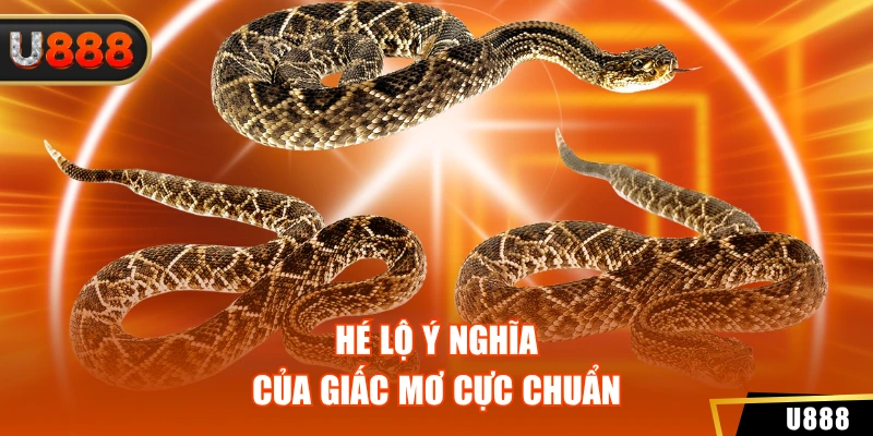Hé lộ ý nghĩa của giấc mơ cực chuẩn