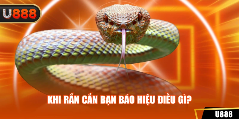 Khi rắn cắn bạn báo hiệu điều gì?